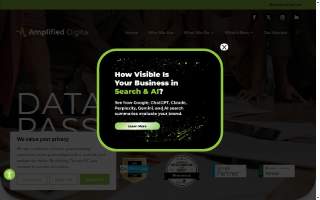 Amplified Digital Agency Twin Falls website