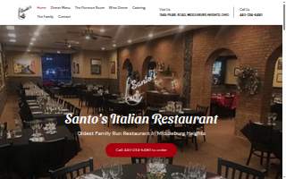 Santos Detailing website