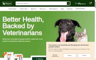 Rayne Foundation Repair website
