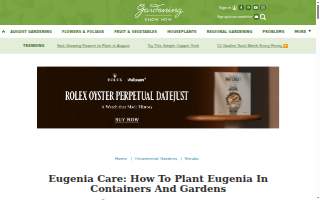 Eugenia’s Flowers website