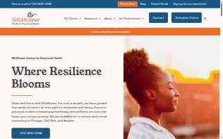 Wildflower Pediatric Therapy PLLC website