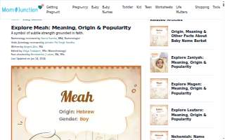 Meah Immigration Law Office, P.C. website