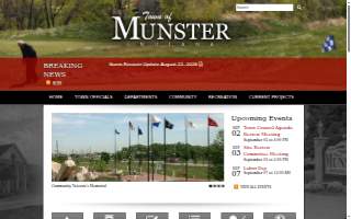 Munster Handyman Services website