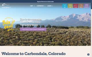 Carbondale Computer Repair website