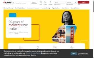 Patel Law, PC website