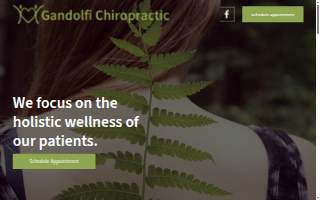 Gandolfi Chiropractic Center website