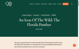 Panther Properties Charleston website