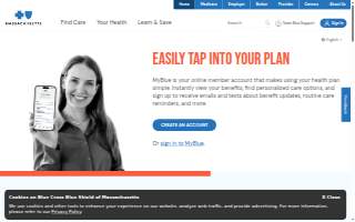 Blue Line Design & Construction website