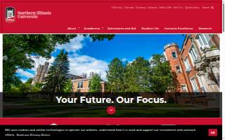 NIU School of Art and Design website