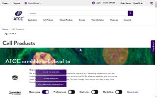 Actt One Development Corp website