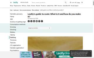 Rosin Eyecare - Glen Ellyn website