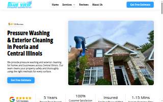 Blue View Power Washing website