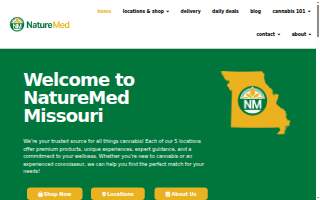NatureMed Acupuncture website