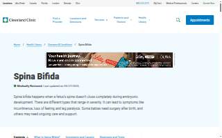 Spina McGuire & Okal PC website
