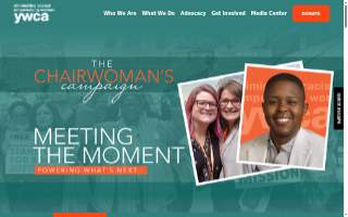 YWCA Southwestern Illinois website