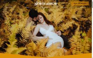 North Arrow Creative website