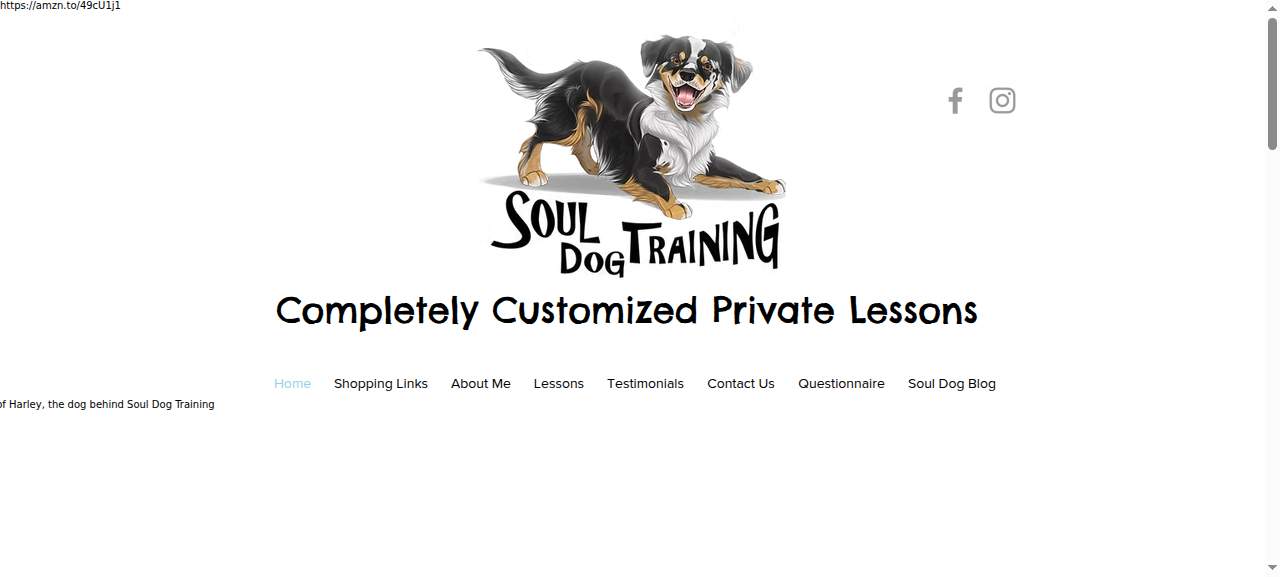 Soul Dog Training website