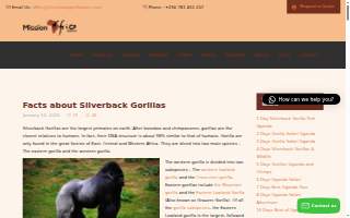 Silverback Tire and Service website