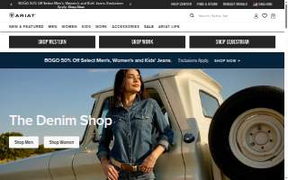 Ariata Dental website
