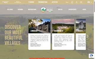 Beautiful Mind Therapy website