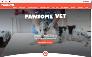 Pawsome Pet Sitting LLC website