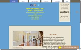 Pro Painters website