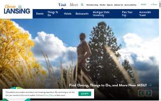 Lansing Pediatric Associates PC website