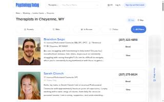 Counseling Works website