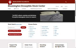Bloomington Foundation Repair Experts website