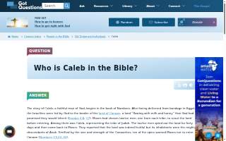 Caleb's Power Wash website