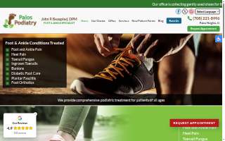 Palos Podiatry website
