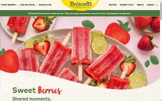 Driscoll Chevrolet GMC website