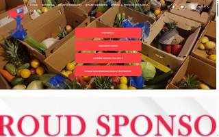 Knock It Out Home Inspections of Illinois, LLC website