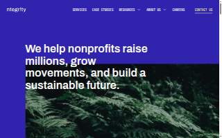 Ntegrity Marketing Solutions, INC website