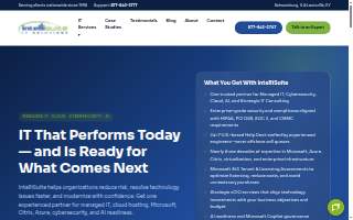 IntelliSuite IT Solutions website