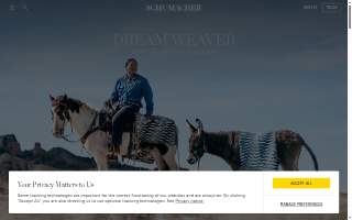 Schum Law website
