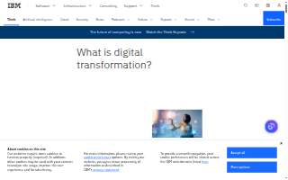 Digital Evolution Marketing website