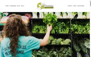 Choices Counseling Troy website