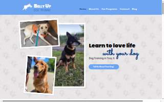 Belly Up Dog Training website