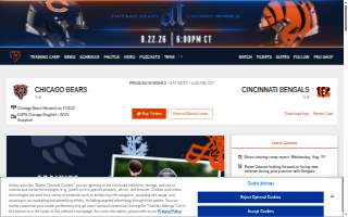 Bears Window Cleaning website