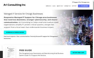 Managed IT Services & Support | Chicago Northshore IT Support - STI TECHS website