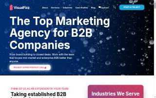 VisualFizz website