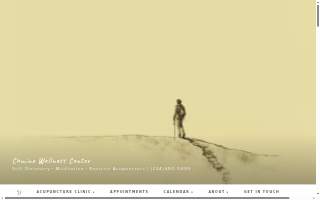 Camino Wellness Center | Acupuncture & Meditation website