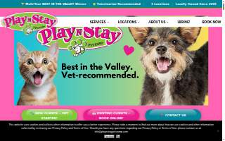 Play N Stay Pet Camp - South Wheeling website