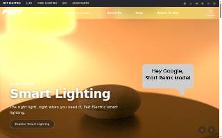 Feit Surveillance website