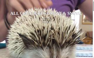 All Creatures Great & Small Veterinary Hospital website