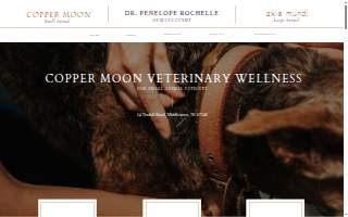 Copper Moon Veterinary Wellness of Fort Worth website