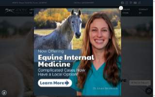 Adobe Veterinary Center website