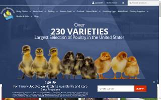 Cackle House Storage website