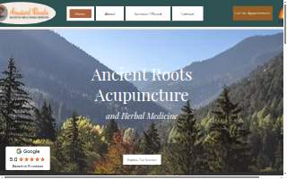 Ancient Roots Acupuncture PLLC website